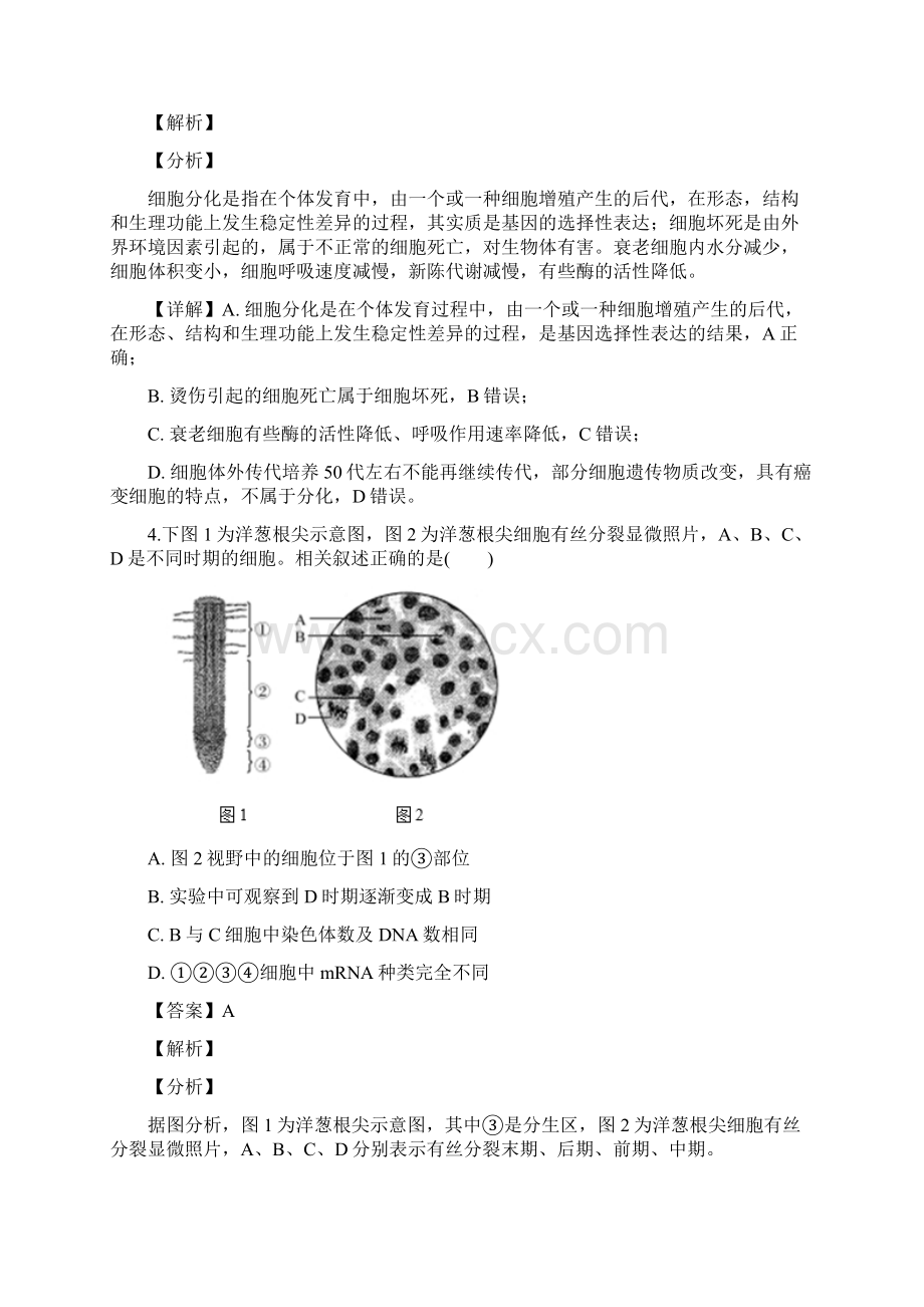 精品解析江苏省泰州市届高三上学期期末考试生物试题精校Word版.docx_第3页