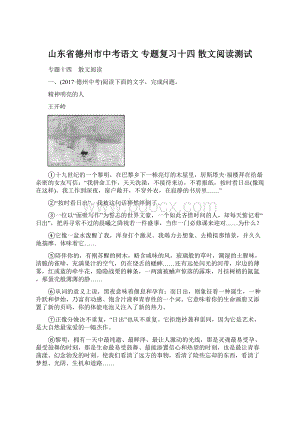 山东省德州市中考语文 专题复习十四 散文阅读测试Word下载.docx