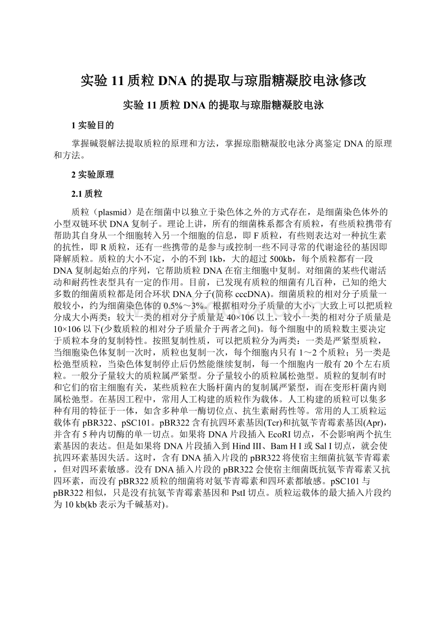 实验11质粒DNA的提取与琼脂糖凝胶电泳修改.docx_第1页