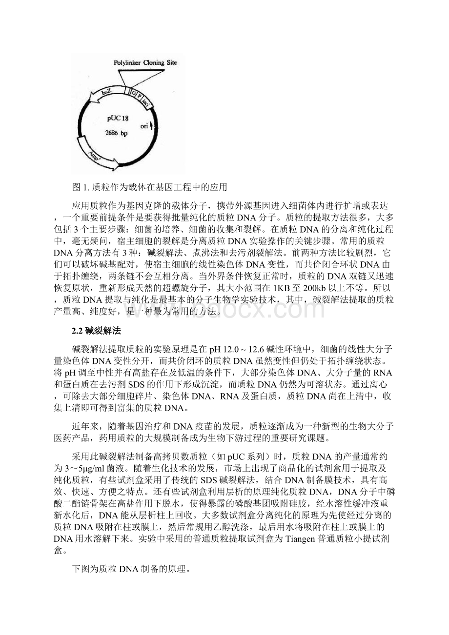 实验11质粒DNA的提取与琼脂糖凝胶电泳修改.docx_第2页