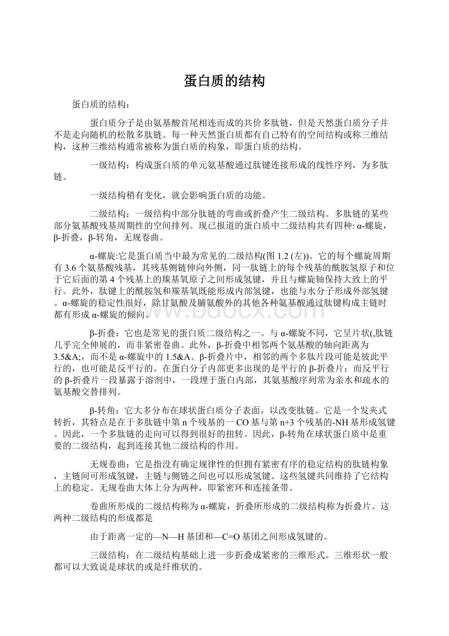 蛋白质的结构.docx