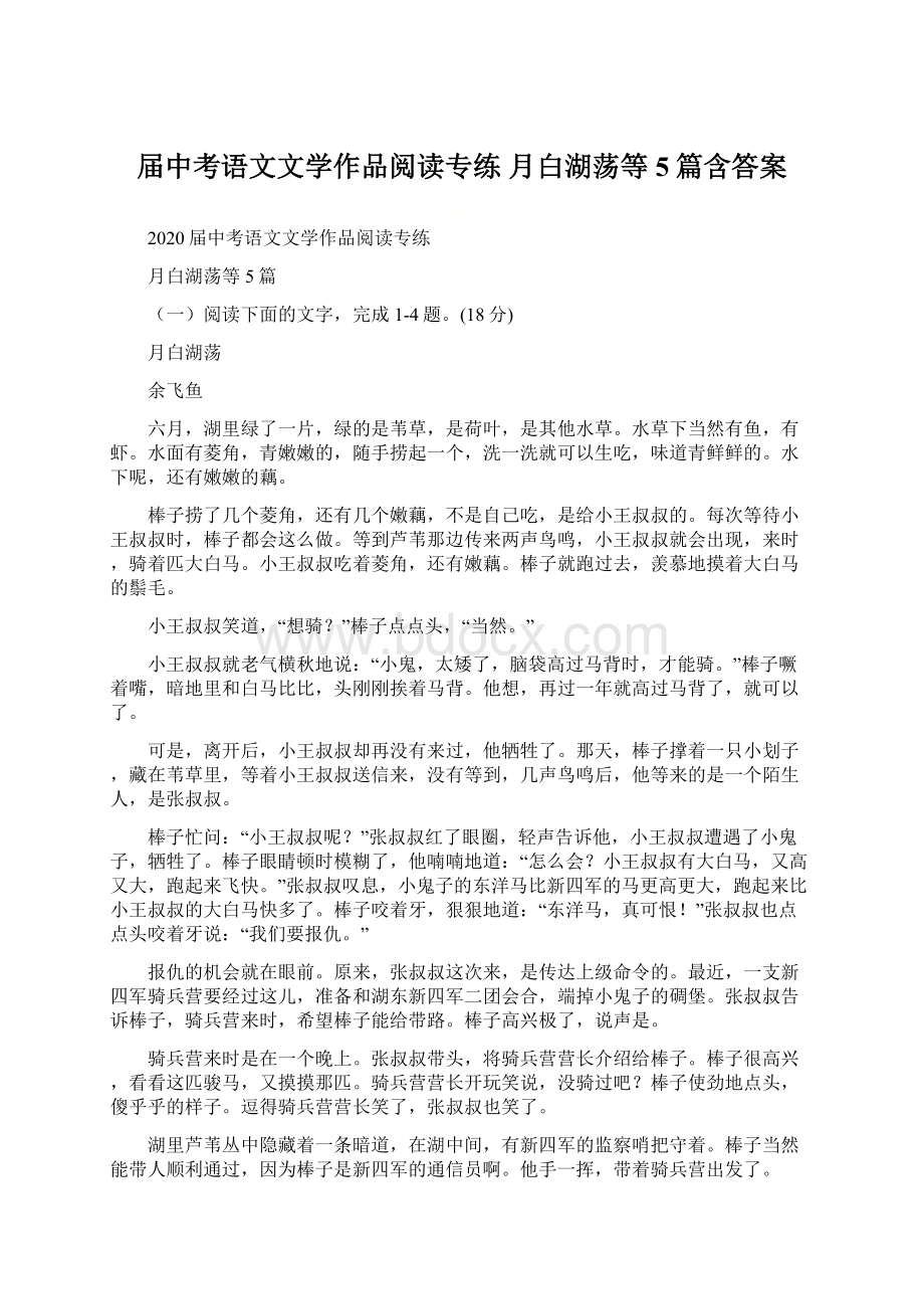 届中考语文文学作品阅读专练 月白湖荡等5篇含答案Word格式文档下载.docx