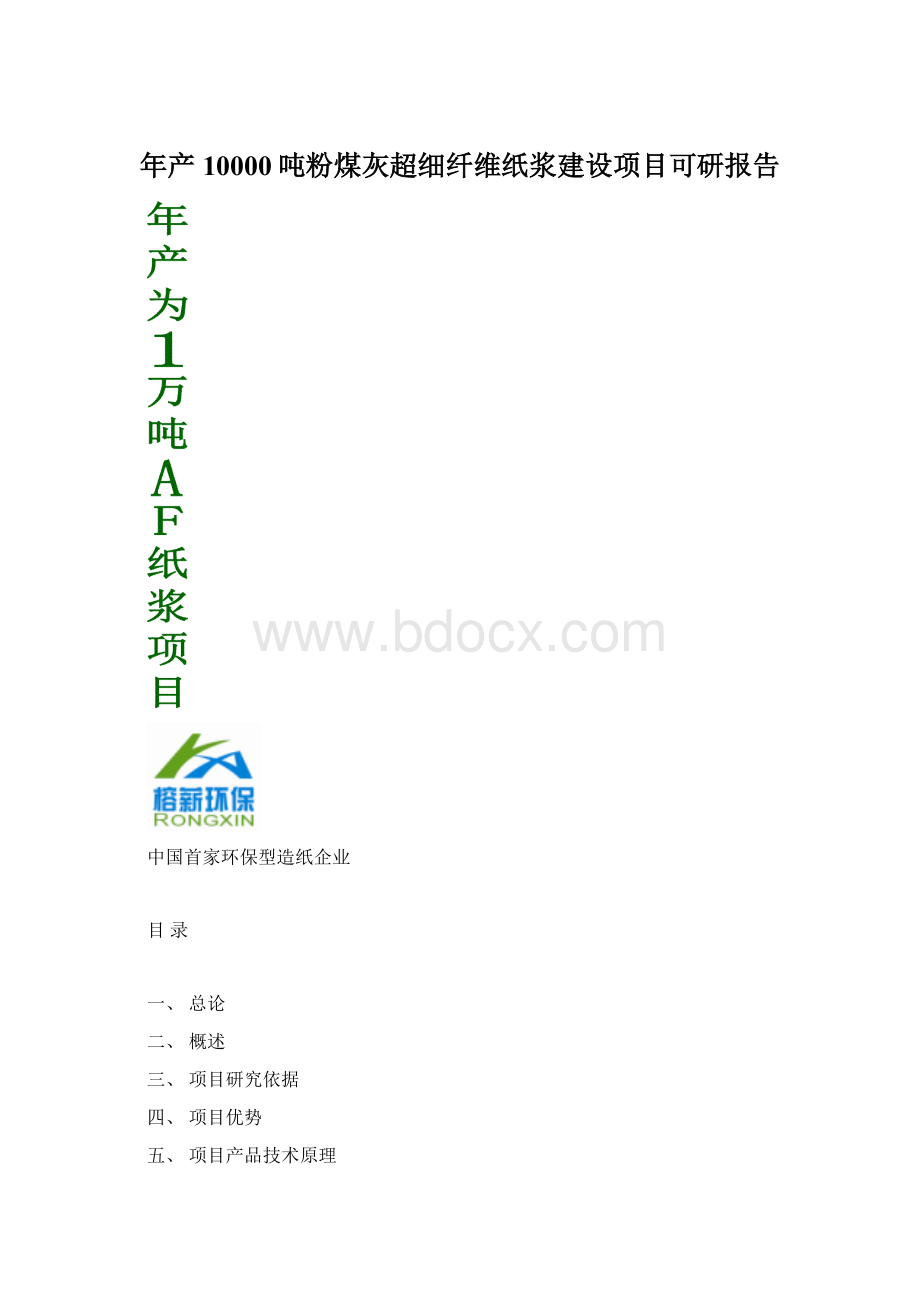 年产10000吨粉煤灰超细纤维纸浆建设项目可研报告.docx_第1页