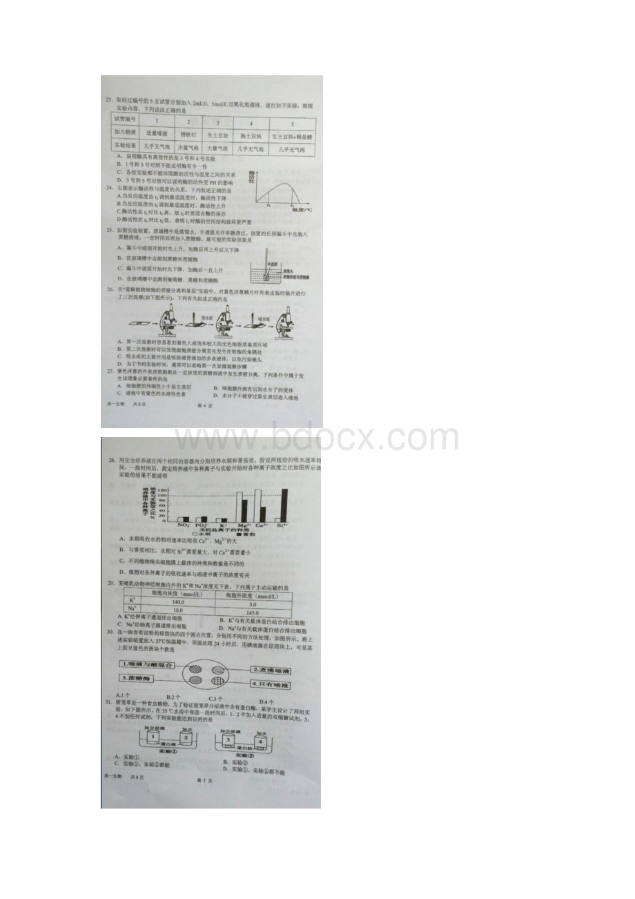 福建省厦门学年高一生物上册月考试题.docx_第3页