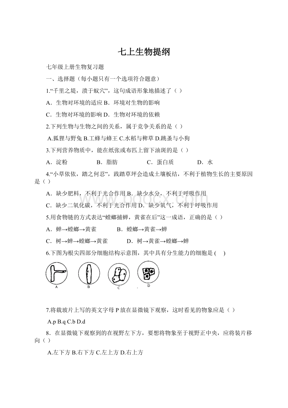 七上生物提纲Word文档格式.docx_第1页