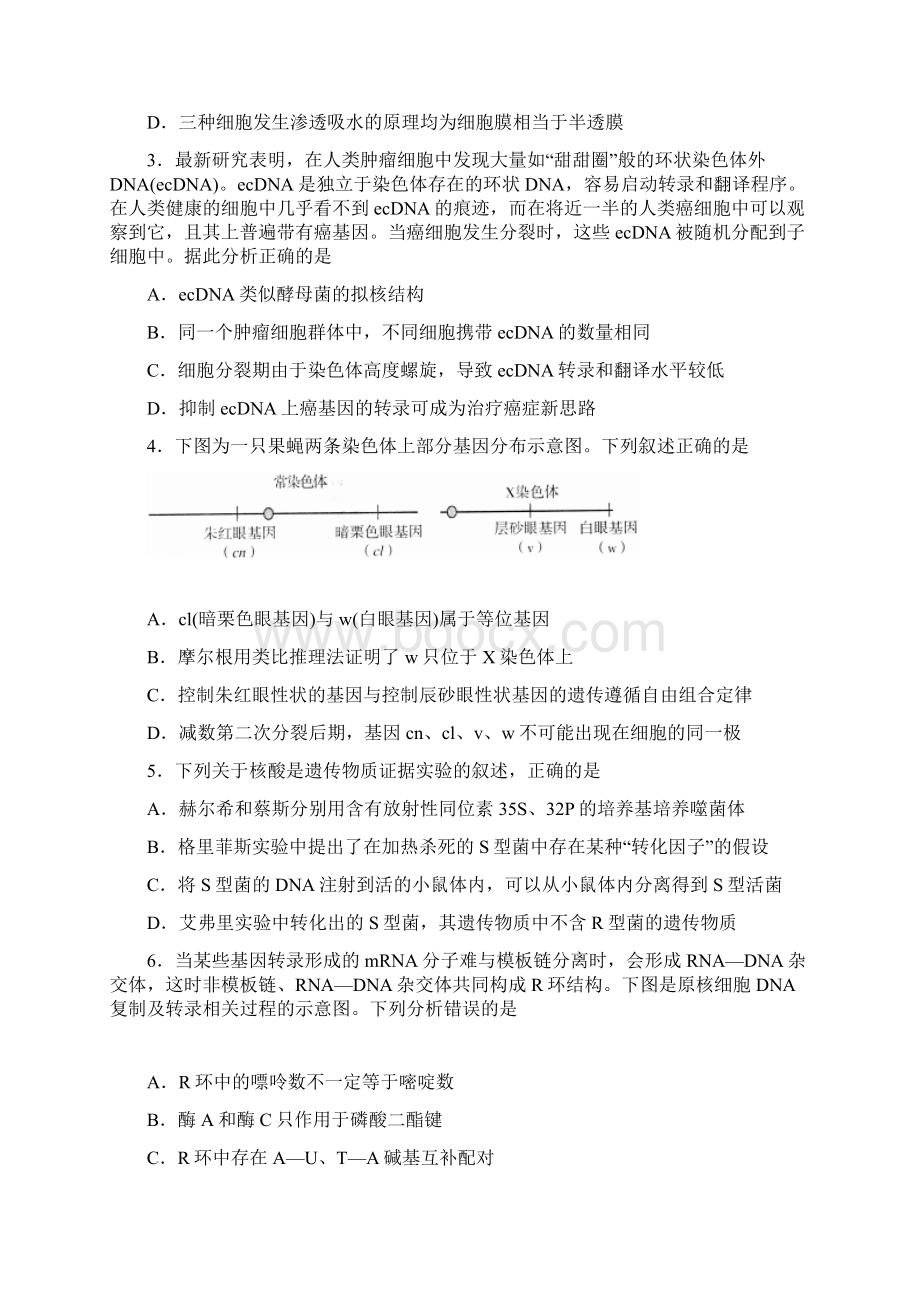 生物济宁届高三份第二次模拟测试二模Word格式文档下载.docx_第2页