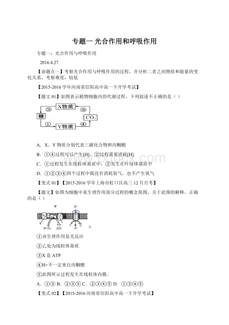 专题一 光合作用和呼吸作用.docx_第1页