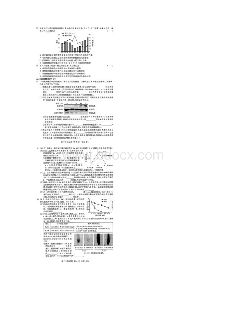 北京市海淀区5015高三年级第一学期期末生物练习Word下载.docx_第3页