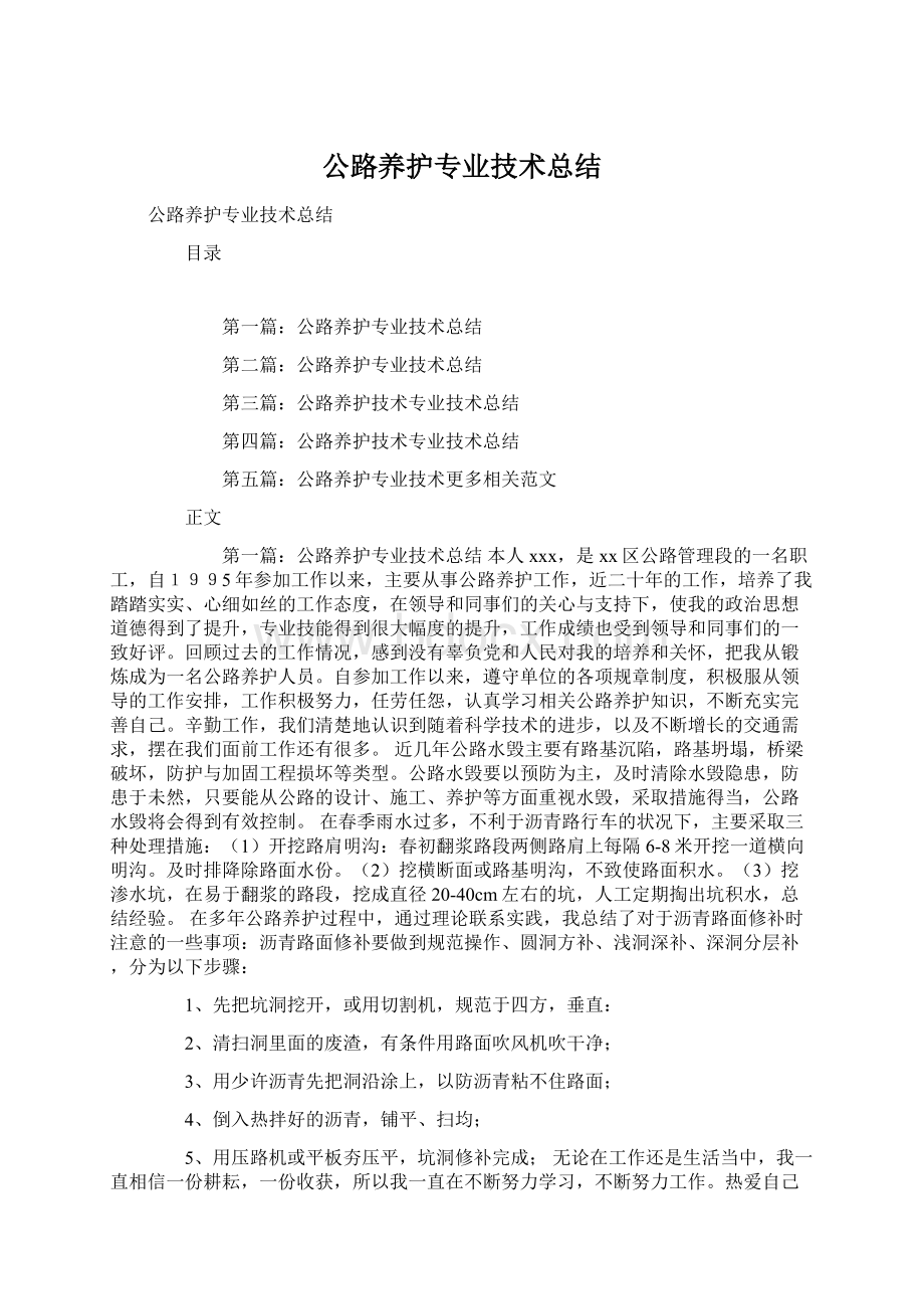 公路养护专业技术总结Word文档格式.docx