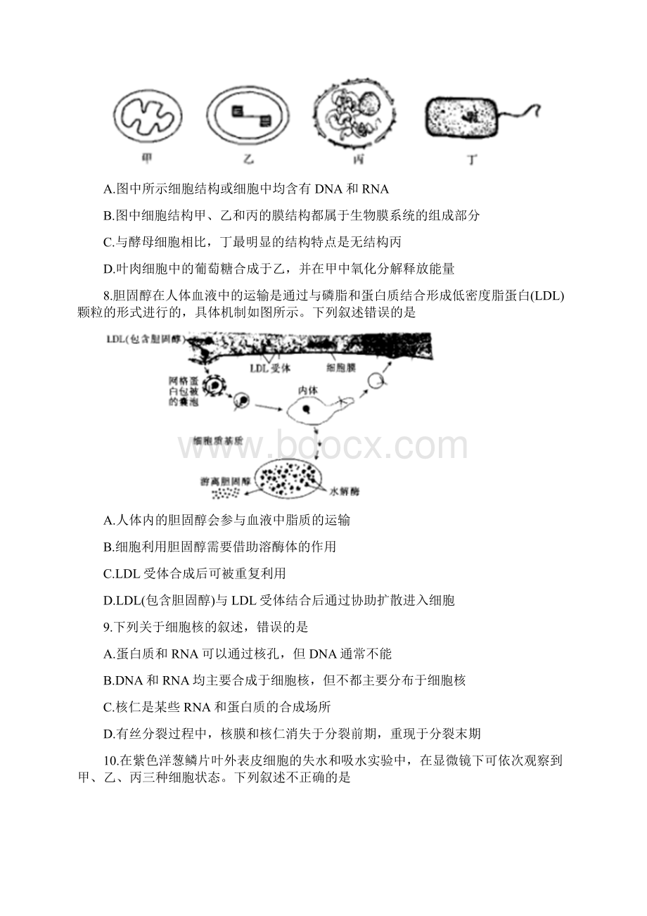 山东省届高三生物联考试题11270299.docx_第3页