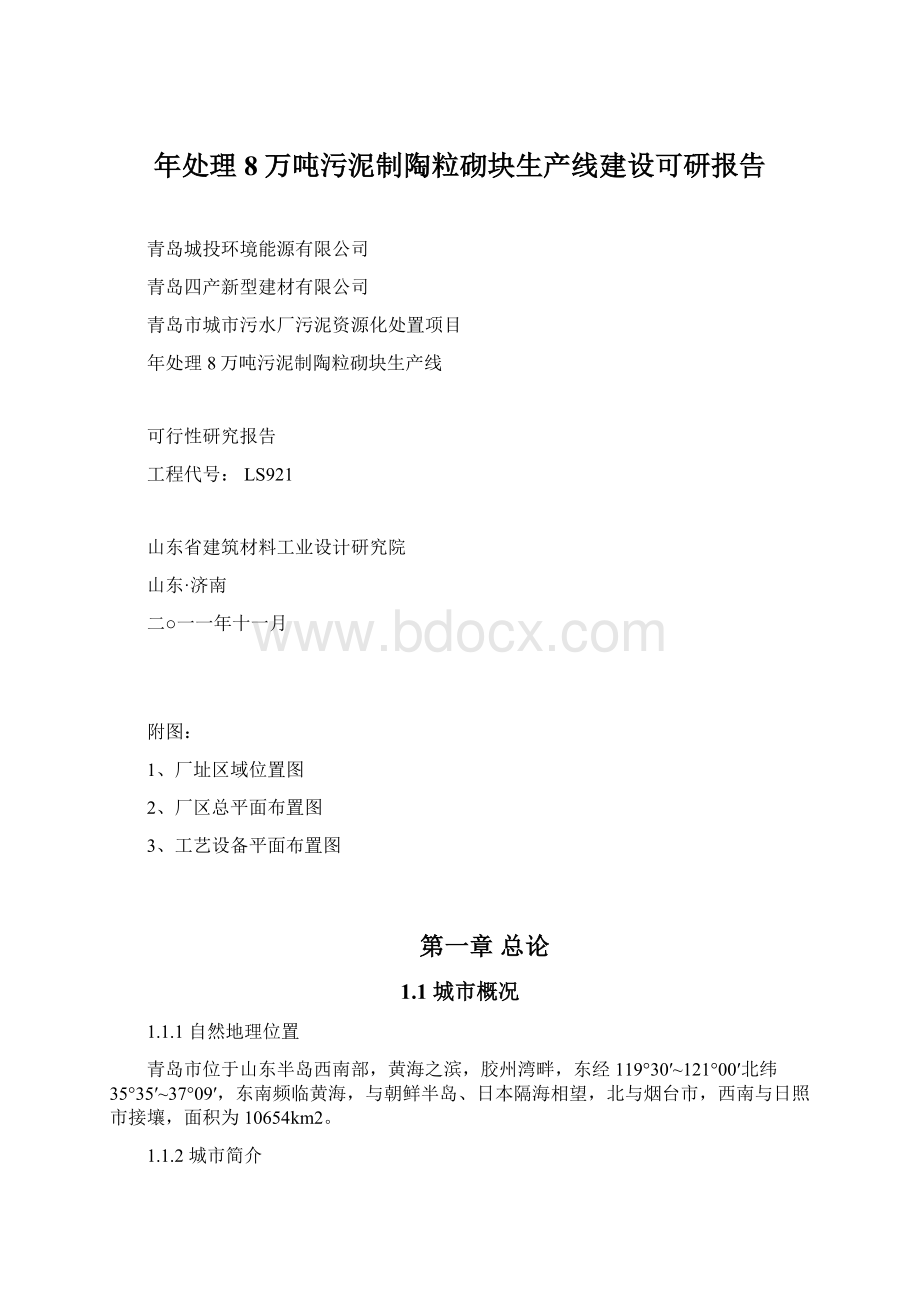 年处理8万吨污泥制陶粒砌块生产线建设可研报告.docx_第1页