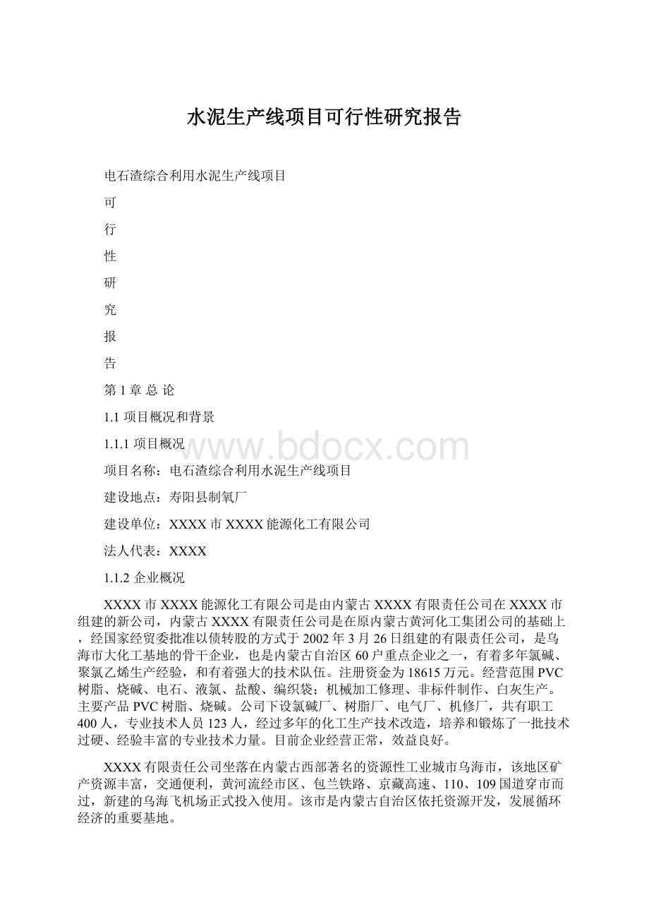 水泥生产线项目可行性研究报告文档格式.docx