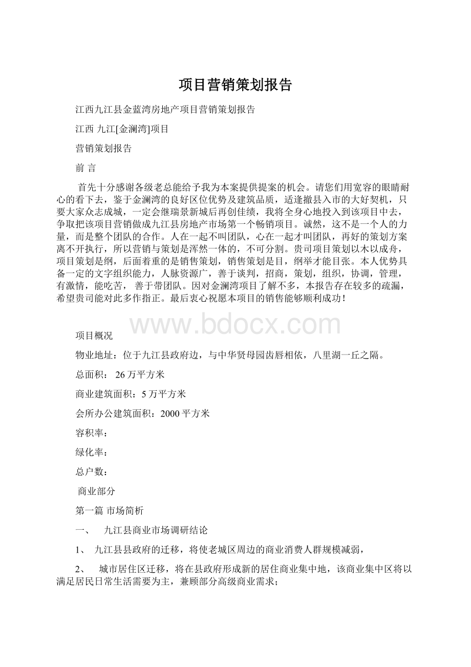 项目营销策划报告Word格式.docx_第1页