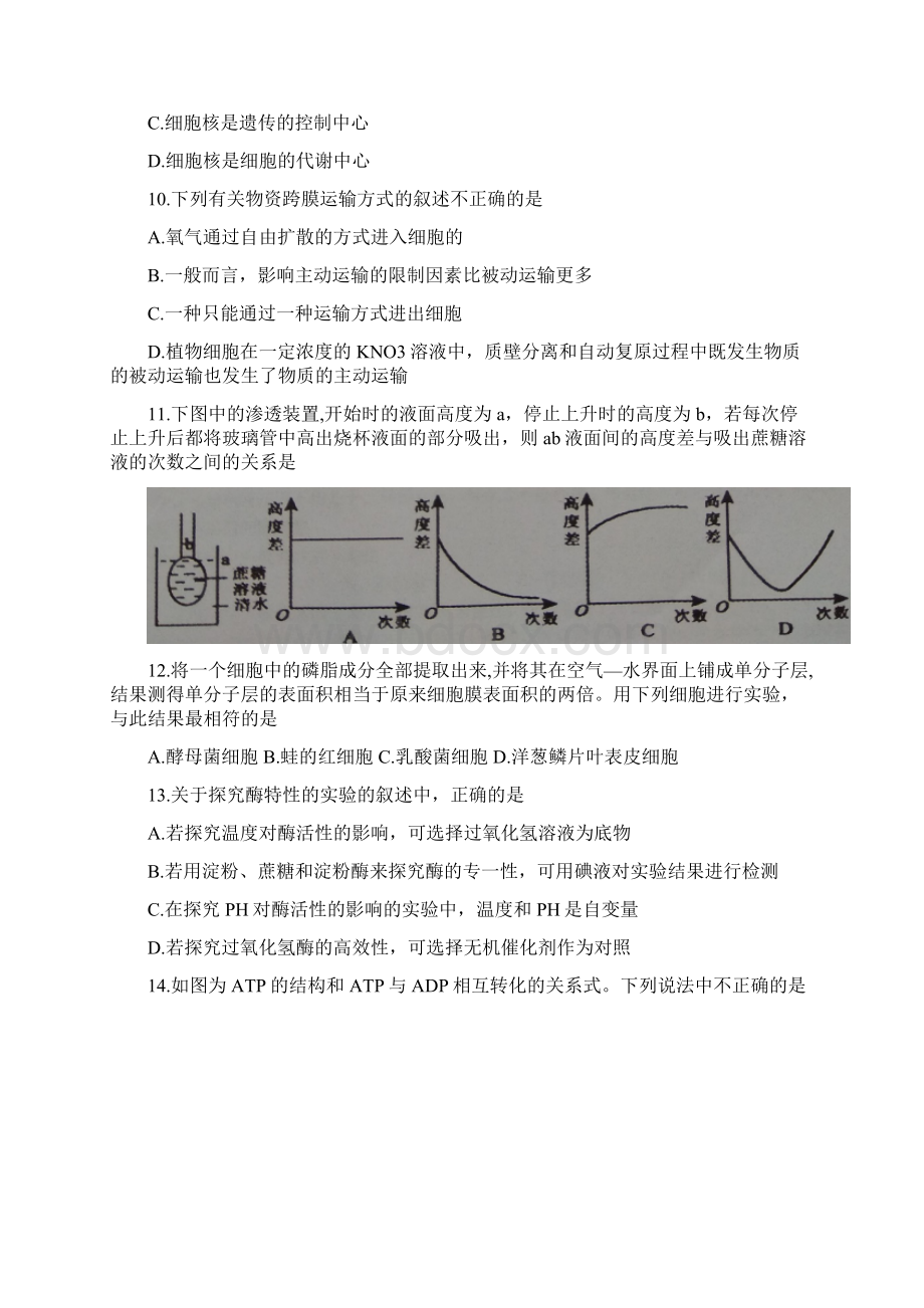 市学年高一下学期质量检测生物试题含答案.docx_第3页