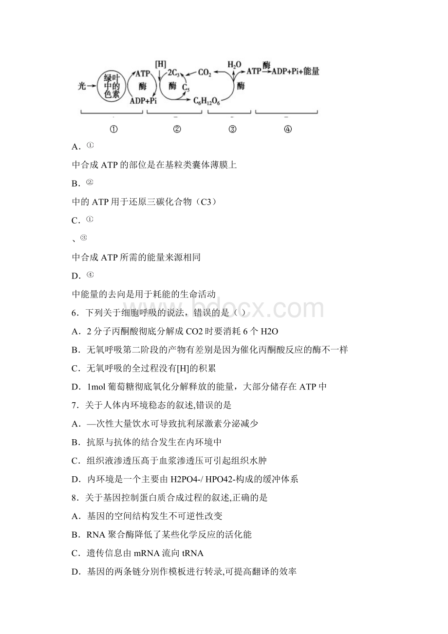 河北省定州中学届高三生物下学期周练试题八Word文档格式.docx_第2页