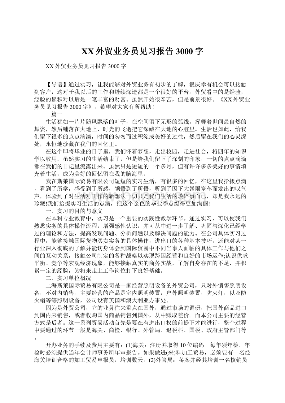 XX外贸业务员见习报告3000字.docx_第1页