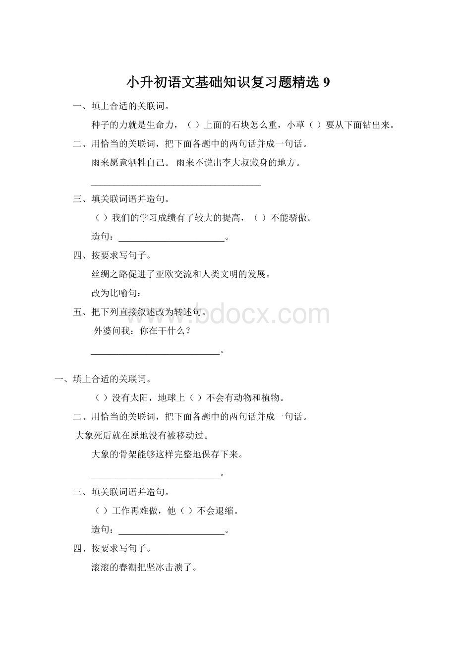 小升初语文基础知识复习题精选9.docx_第1页