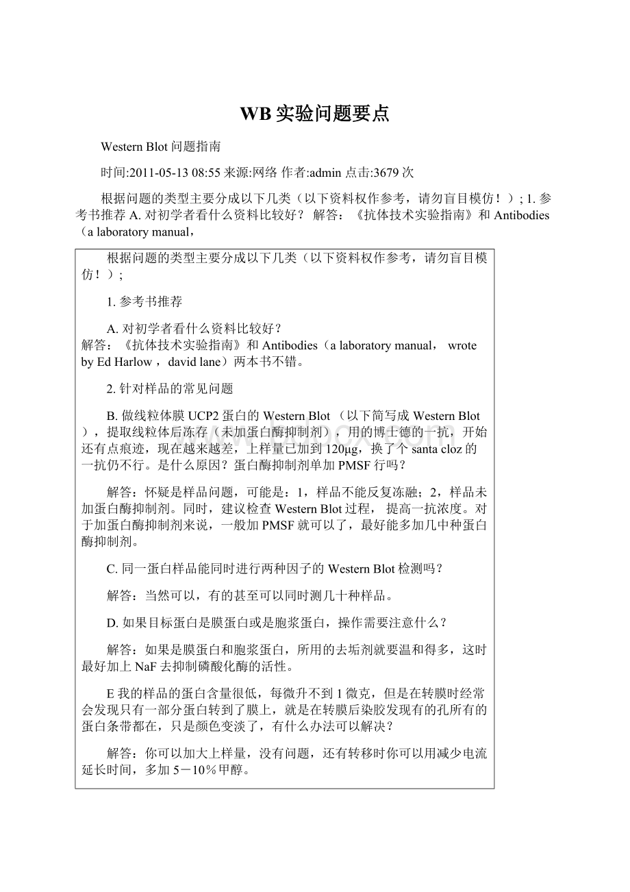 WB实验问题要点文档格式.docx