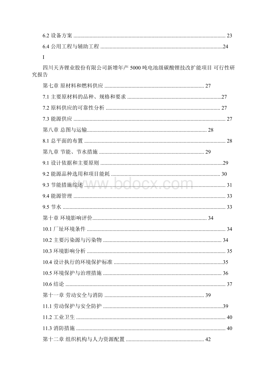 新增年产5000吨电池级碳酸锂技改扩能项目可行性报告Word下载.docx_第2页