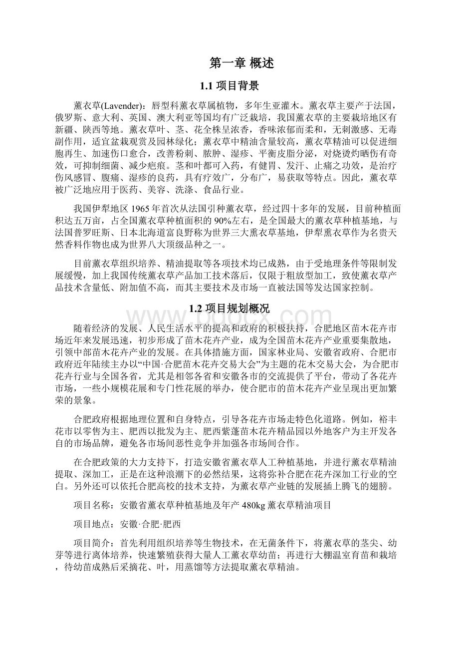 某某省熏衣草人工种植加工基地项目可行性分析报告.docx_第2页