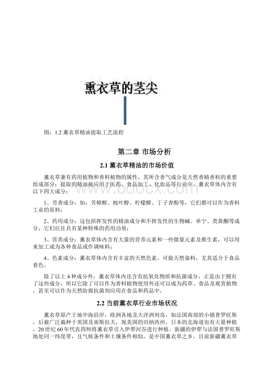 某某省熏衣草人工种植加工基地项目可行性分析报告.docx_第3页