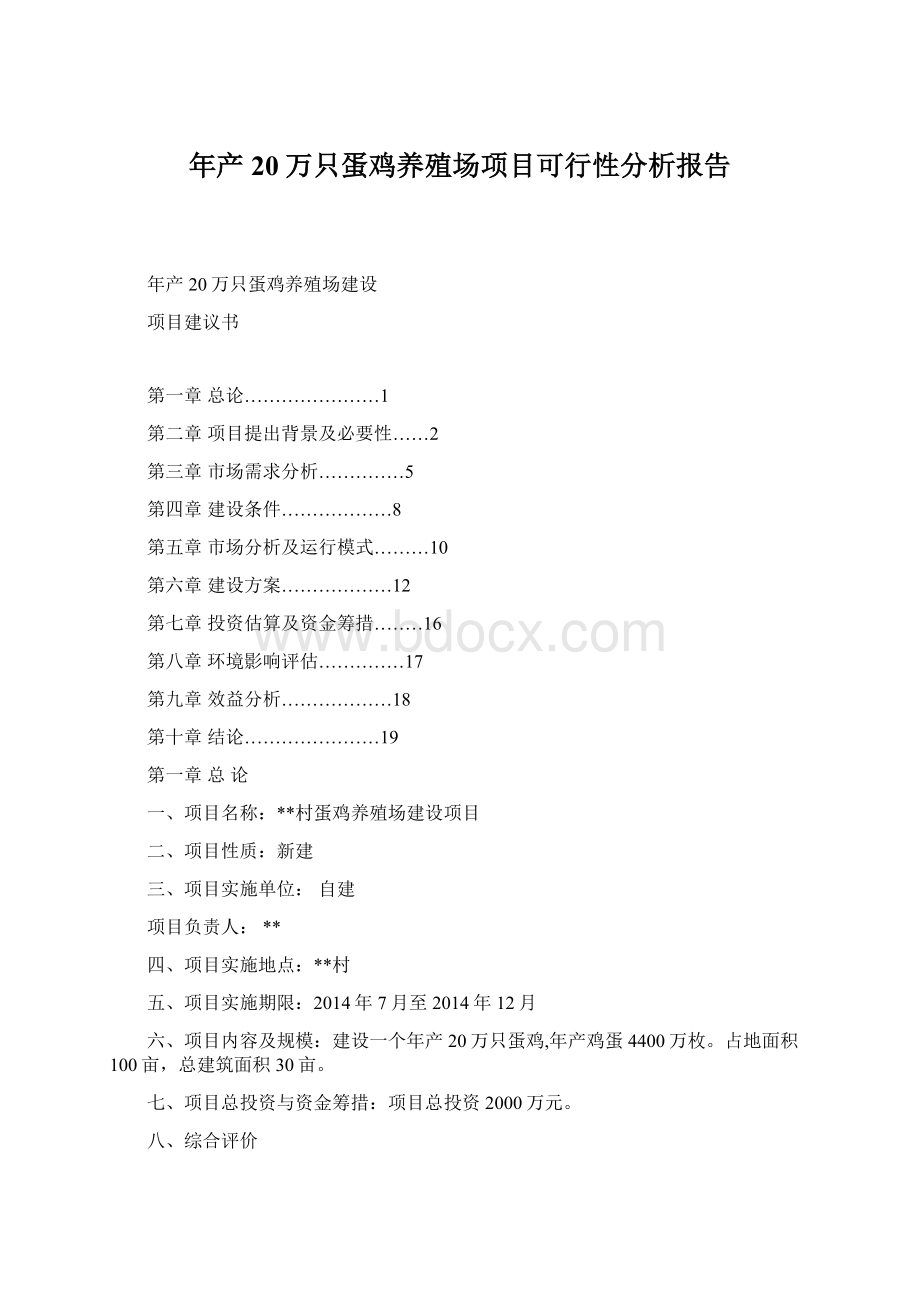 年产20万只蛋鸡养殖场项目可行性分析报告Word格式文档下载.docx