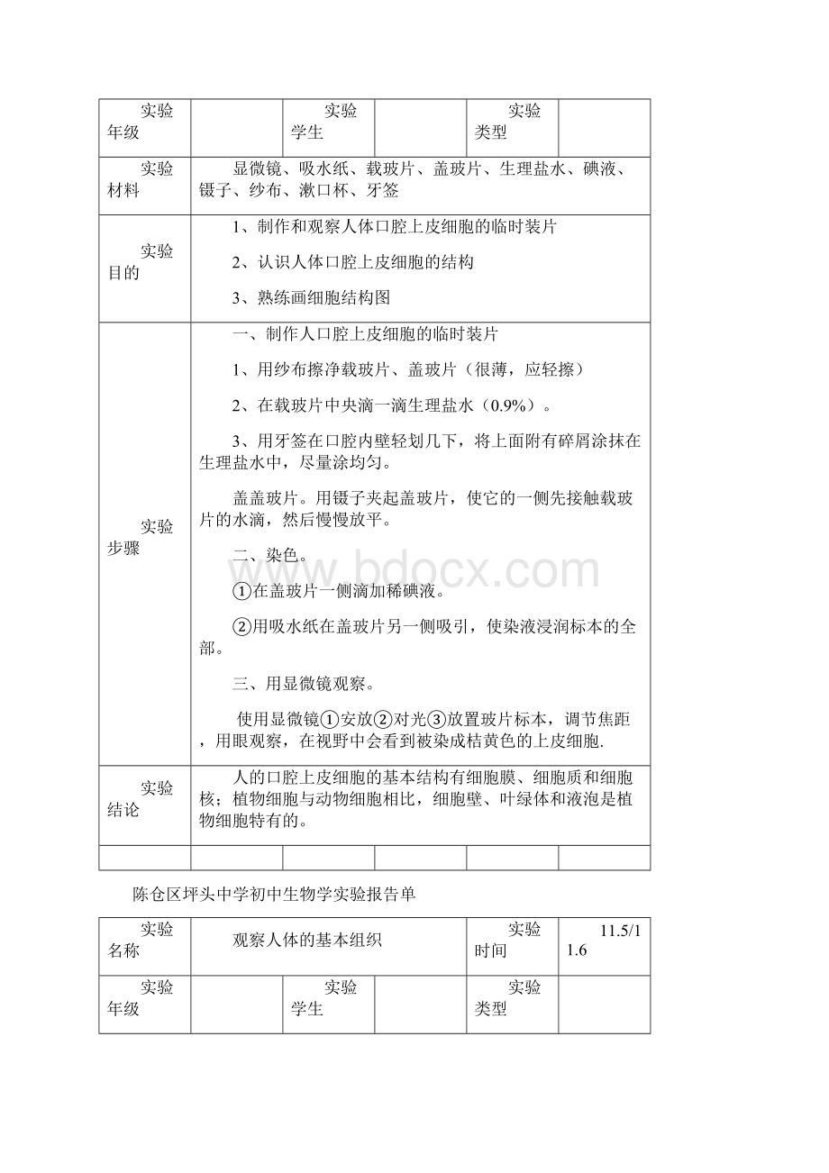 生物实验报告单七年级上册实验样表.docx_第3页