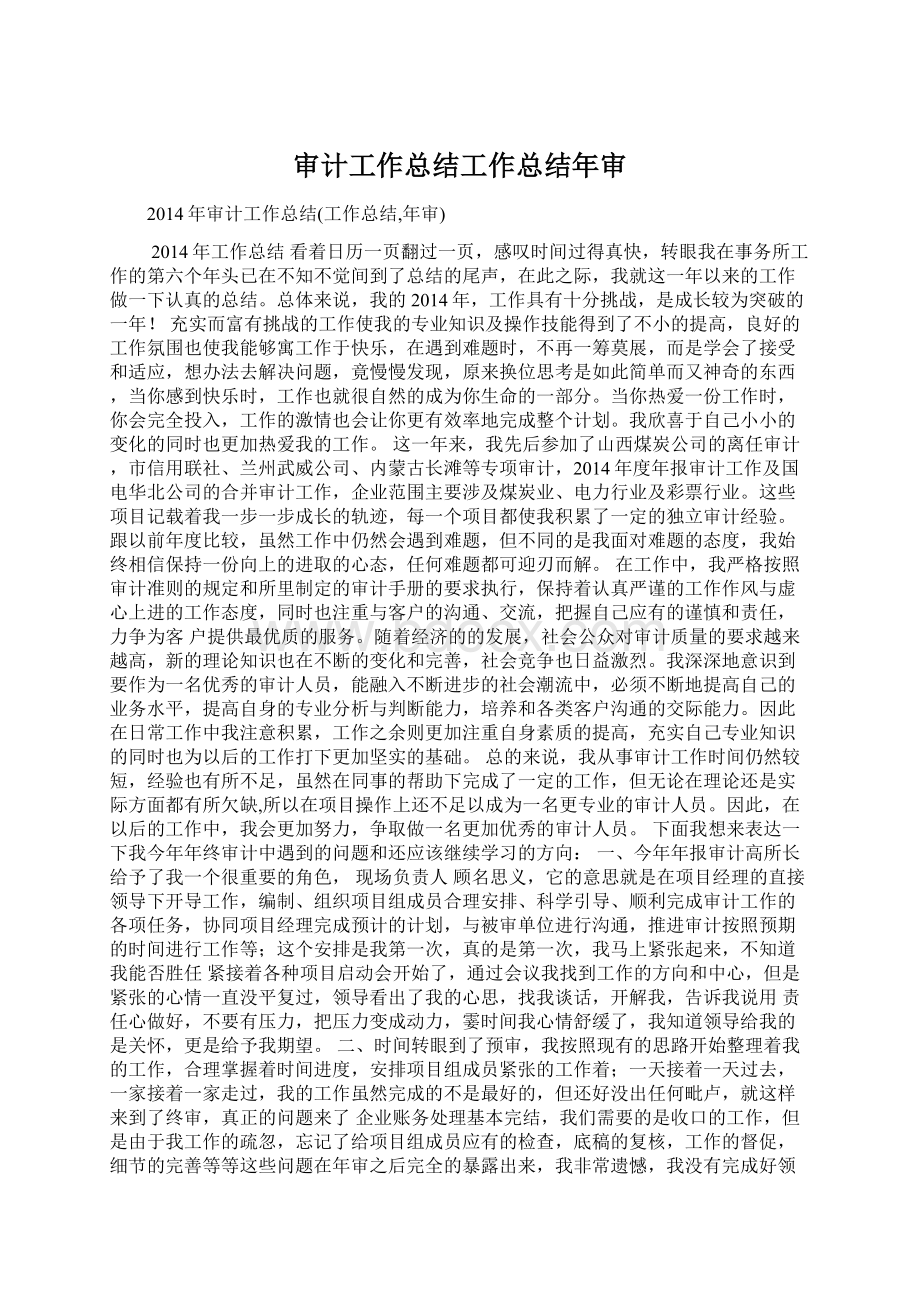 审计工作总结工作总结年审.docx