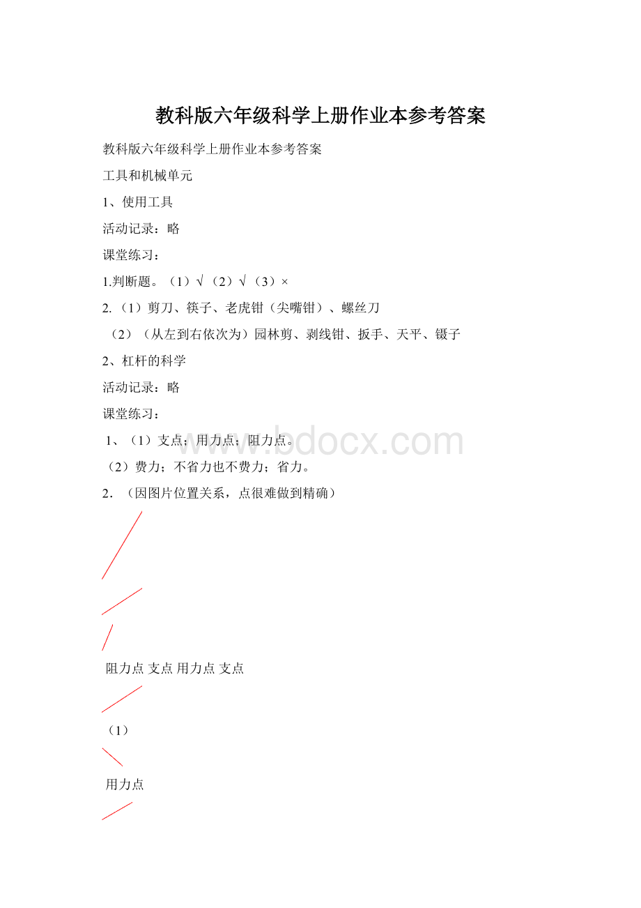 教科版六年级科学上册作业本参考答案Word格式.docx
