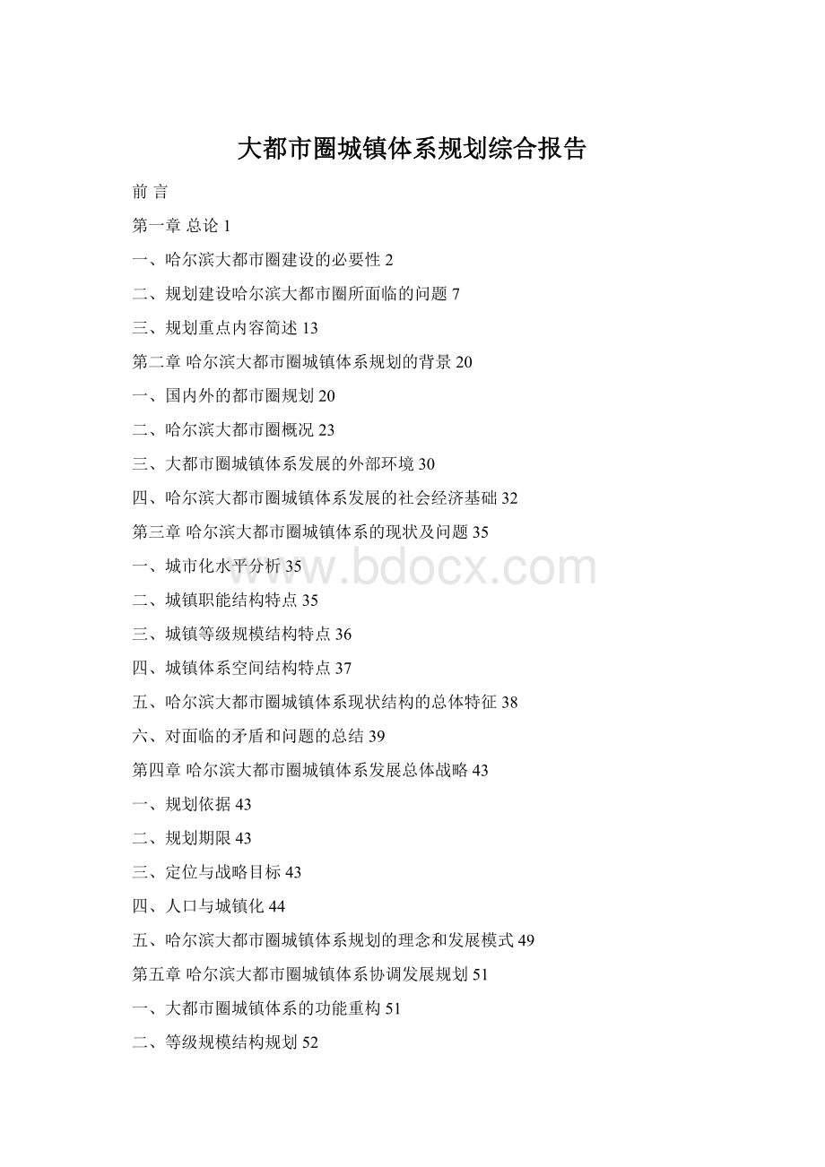 大都市圈城镇体系规划综合报告Word格式.docx