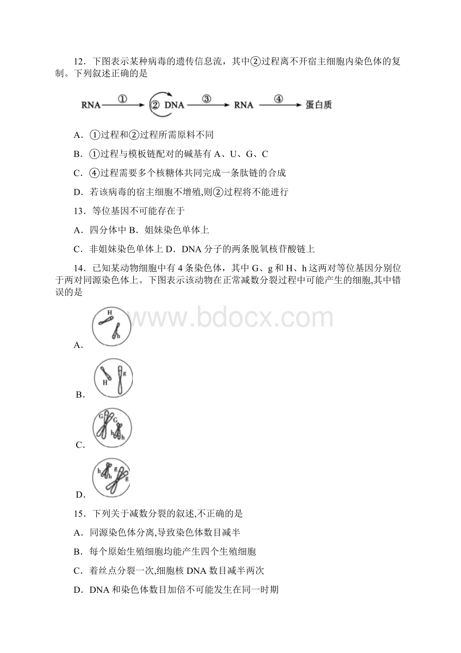 山东省德州市学年高一下学期期末生物试题文档格式.docx_第3页