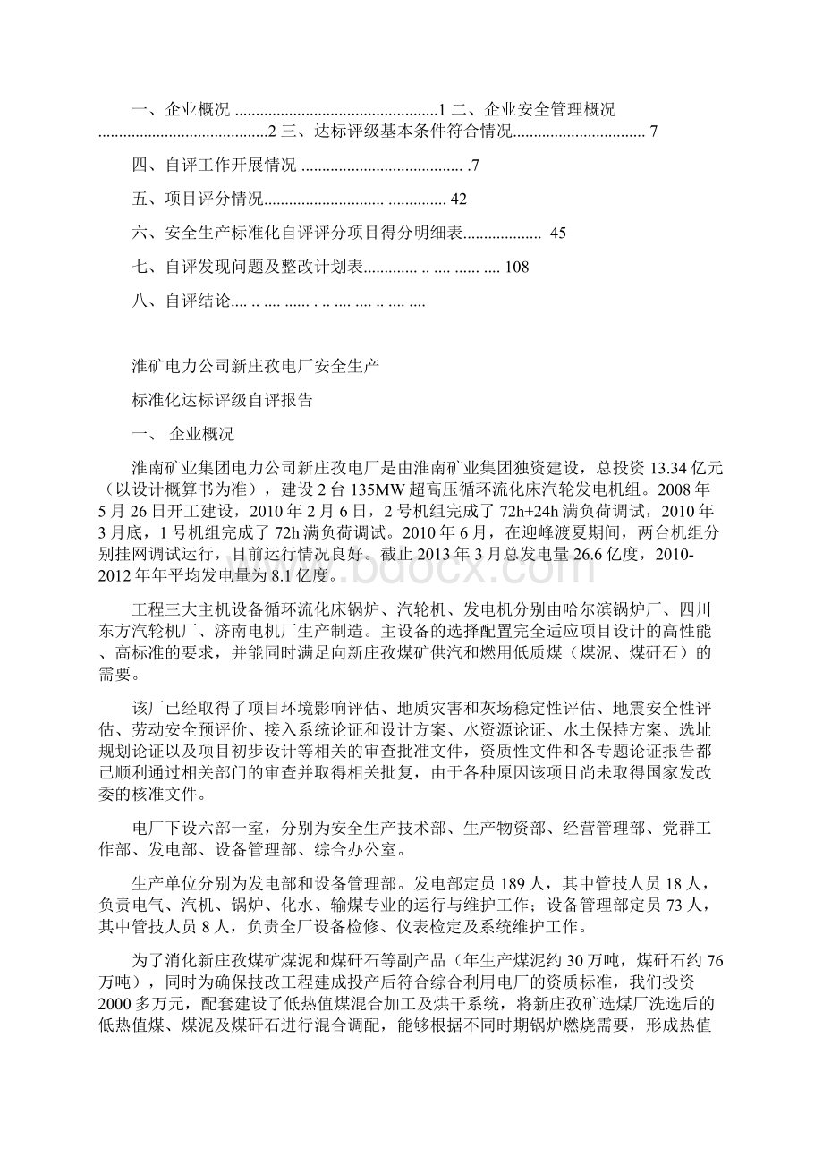 发电厂安全生产标准化达标评级自评报告样式.docx_第2页