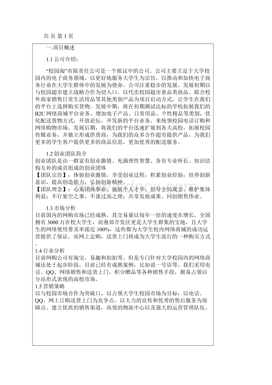 网络商城运营项目策划.docx_第2页