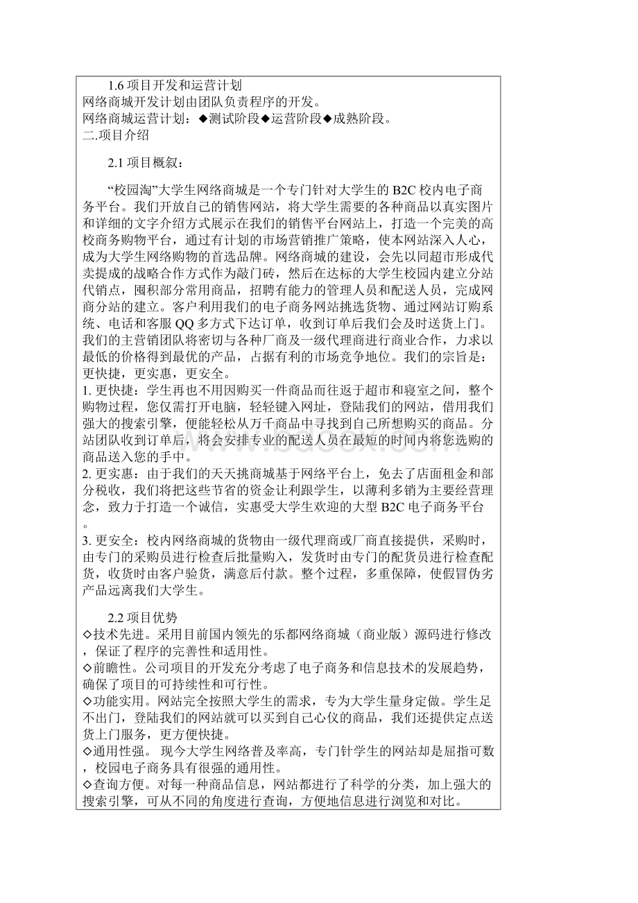 网络商城运营项目策划.docx_第3页