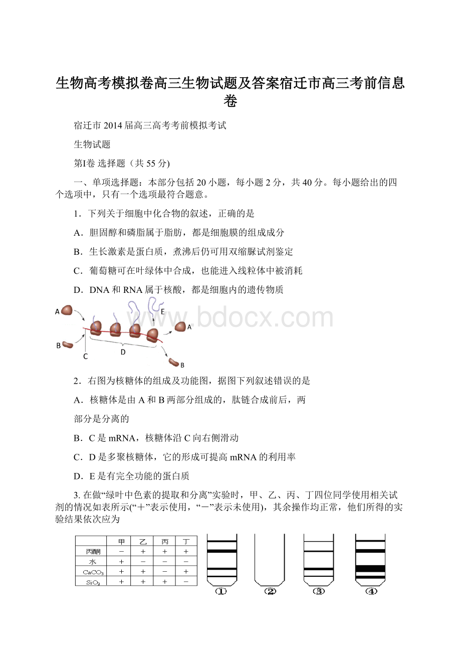 生物高考模拟卷高三生物试题及答案宿迁市高三考前信息卷Word文件下载.docx