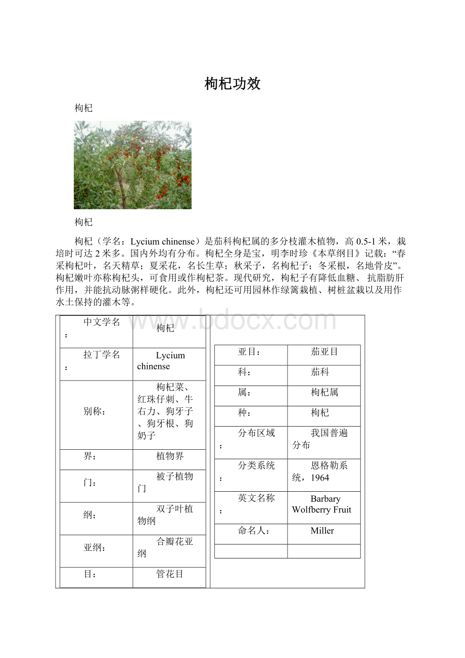 枸杞功效Word格式文档下载.docx_第1页