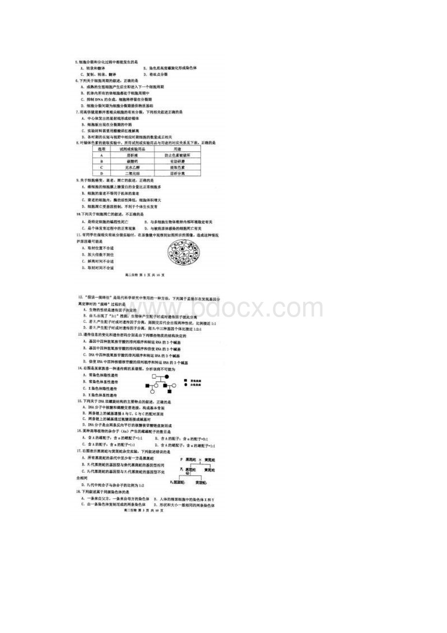 天津市红桥区学年高二上学期期末考试 生物 扫描版.docx_第2页