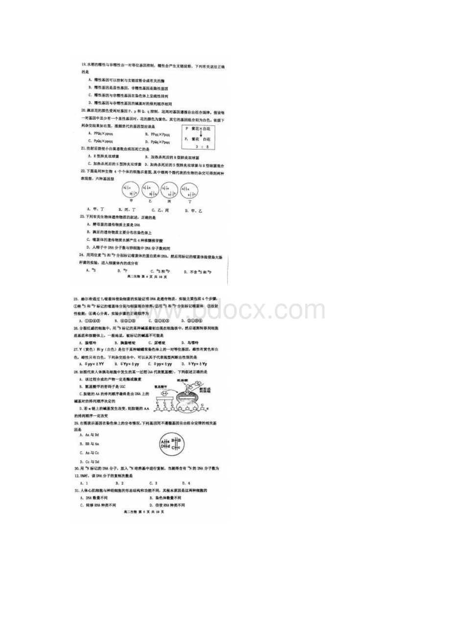 天津市红桥区学年高二上学期期末考试 生物 扫描版.docx_第3页