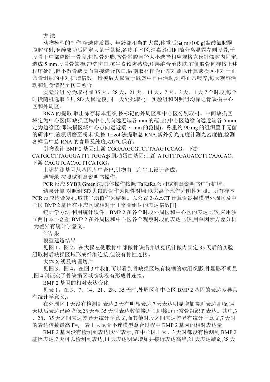 浅论大鼠股骨骨不连模型不同位点骨形态发生蛋白2基因的表达.docx_第2页