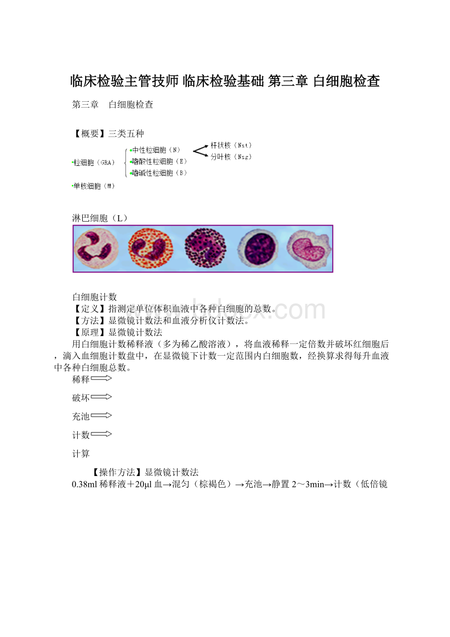 临床检验主管技师 临床检验基础 第三章 白细胞检查Word文件下载.docx