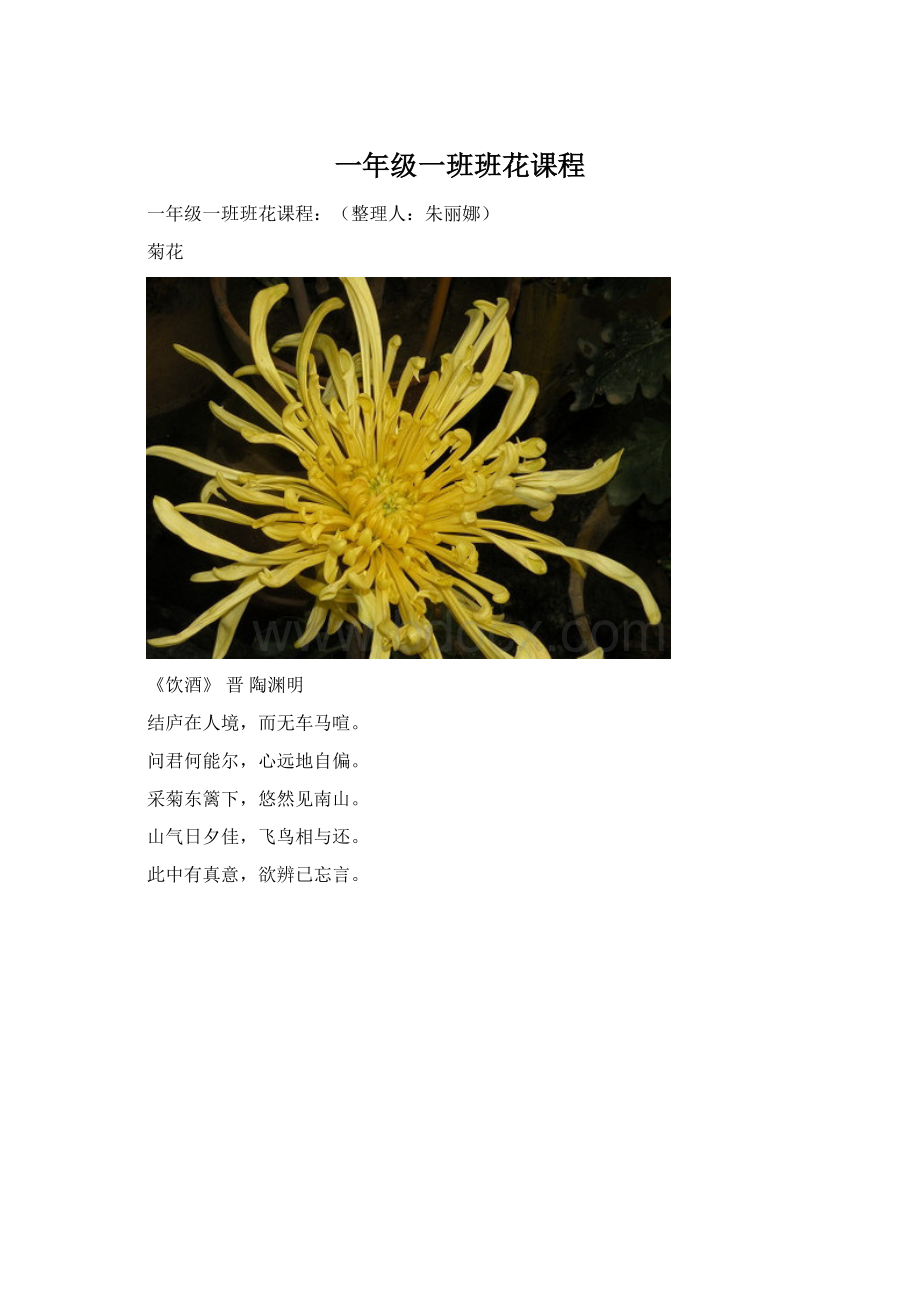 一年级一班班花课程Word下载.docx