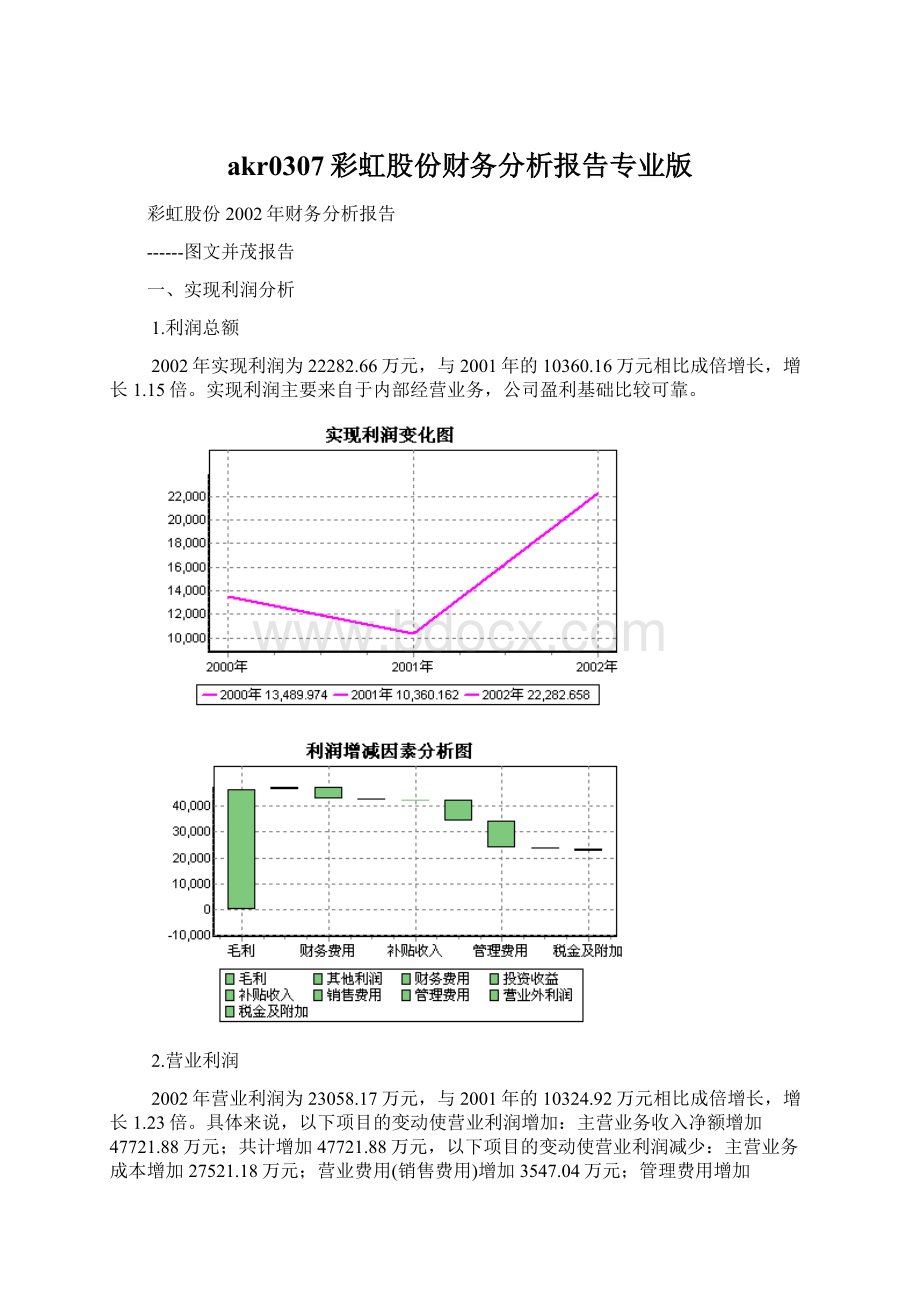 akr0307彩虹股份财务分析报告专业版文档格式.docx_第1页