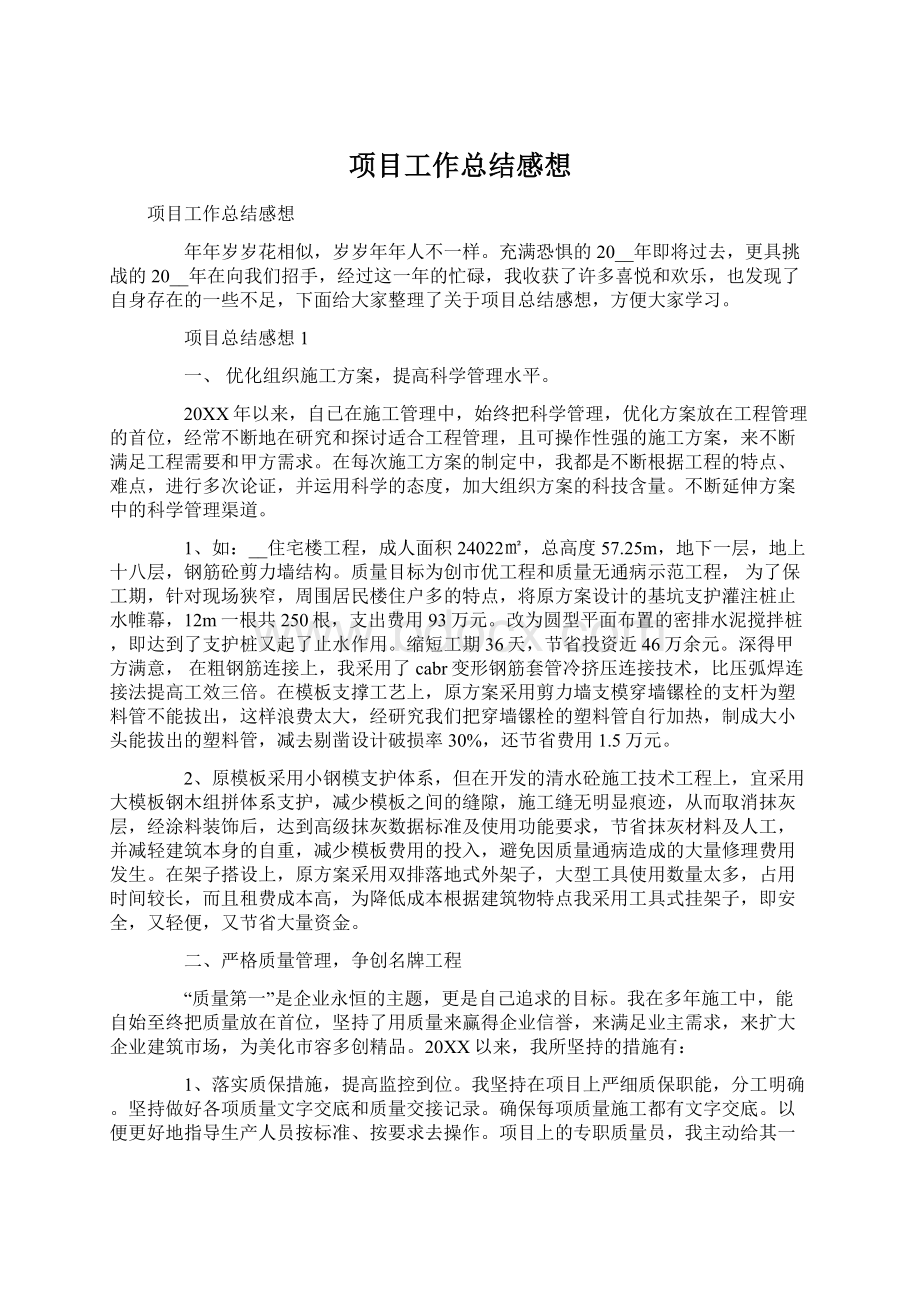 项目工作总结感想Word文档下载推荐.docx