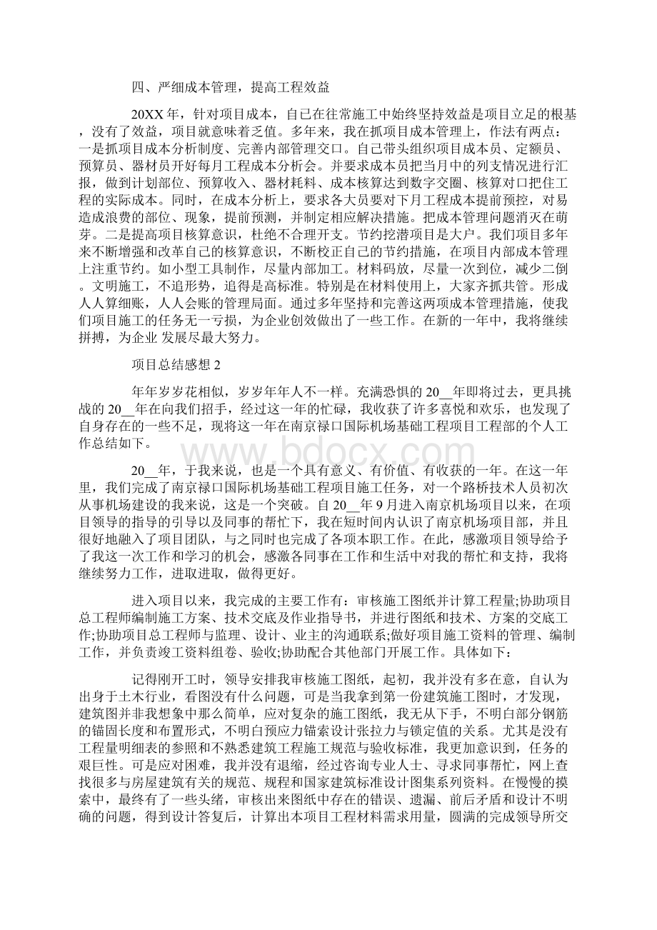 项目工作总结感想.docx_第3页