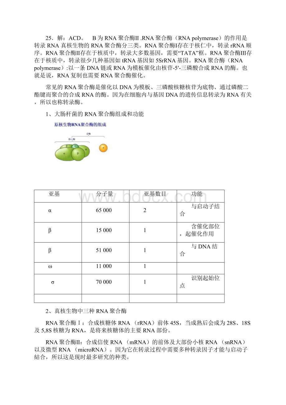 全国中学生生物学联赛试题及答案解析.docx_第3页