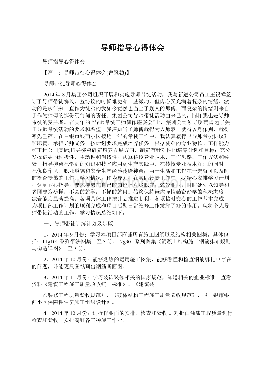 导师指导心得体会.docx