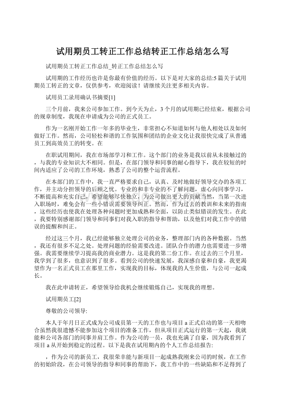 试用期员工转正工作总结转正工作总结怎么写Word格式.docx_第1页