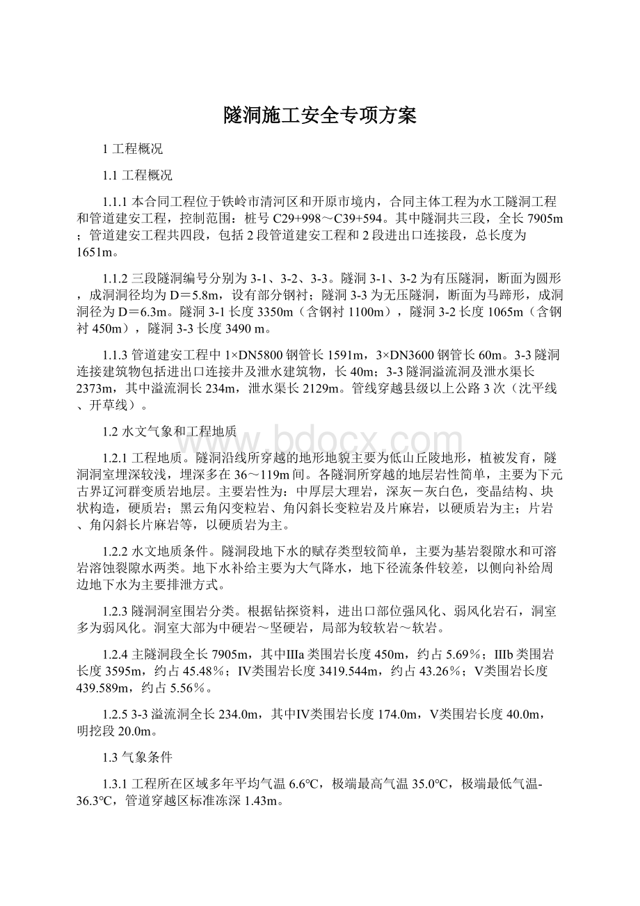 隧洞施工安全专项方案.docx