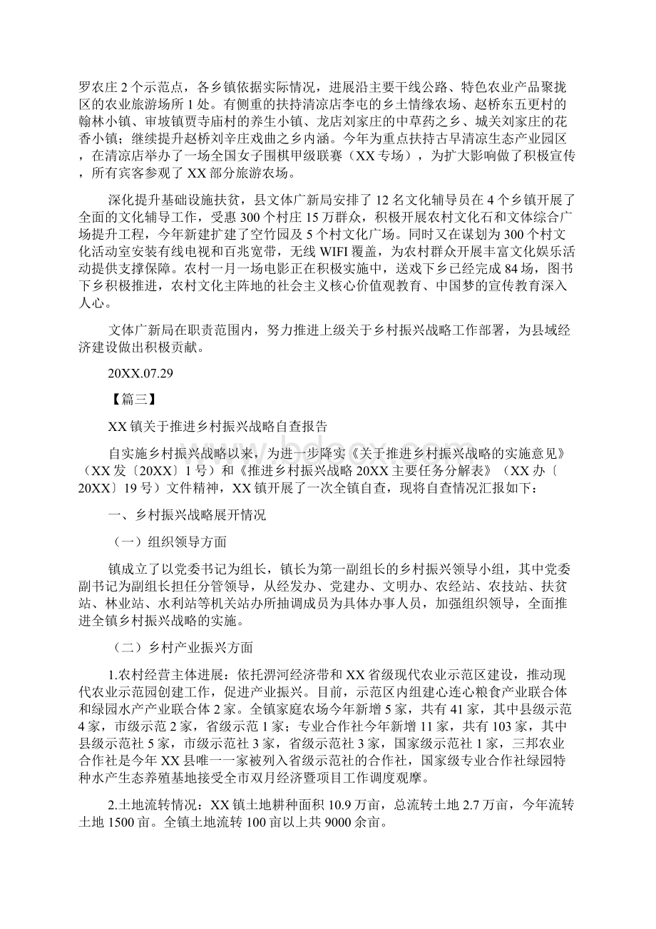 关于推进乡村振兴战略自查报告.docx_第2页