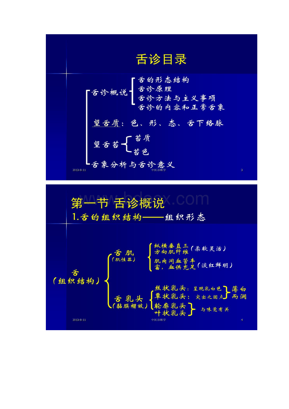 中医诊断学第三章舌诊精.docx_第2页